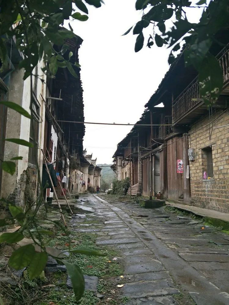 上高徐家渡,雨中游百年老街!