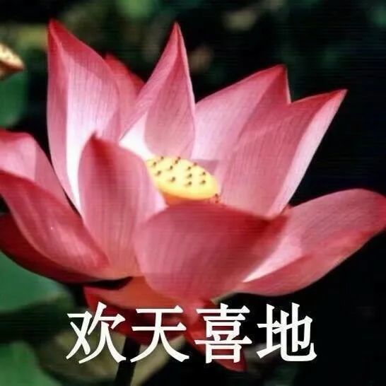 可以混进家长群的头像