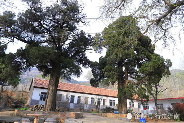 沂南县青驼镇迎旗山秀丽,山下有古长春寺遗址