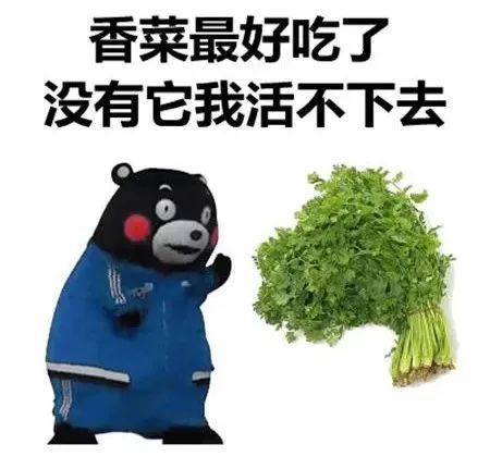 如果你刚好是个喜欢吃香菜的 香菜拌木耳 食材: 木耳一把,香菜一把