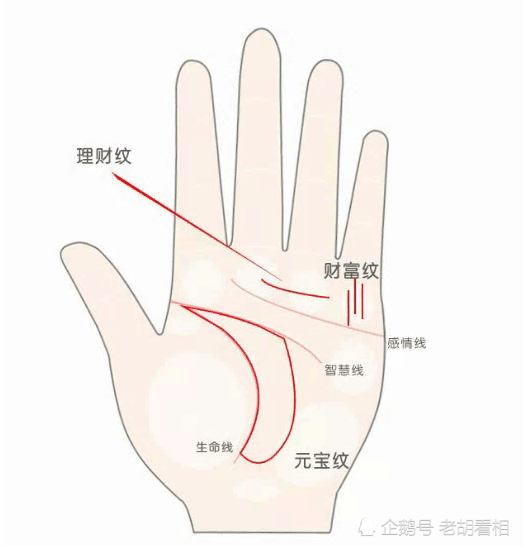 你有横财运吗图解一生有横财运的手相纹理