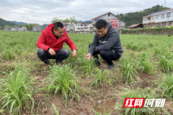 坪地镇人口有多少_树人镇有多少人口