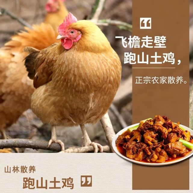 在山林里奔跑的清远土鸡,只要99.9元/两只!周末送到家!