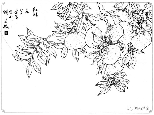 白描画谱5000例之白描蔬果选页欣赏