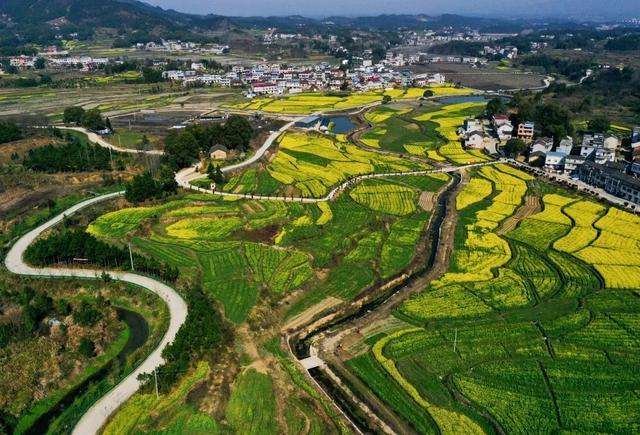 刘河镇人口_刘河镇汤冲村