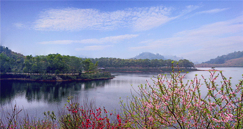 四月的惠州,红花湖繁花似锦,踏青的市民日渐增多.