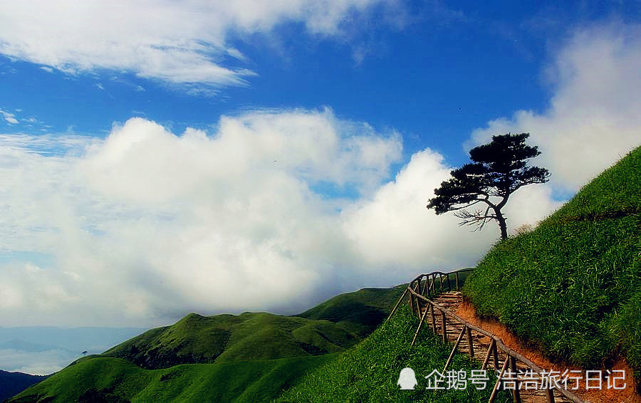 武功山 武功山是国家aaaaa级旅游景区,国家自然遗产,国家级森林公园