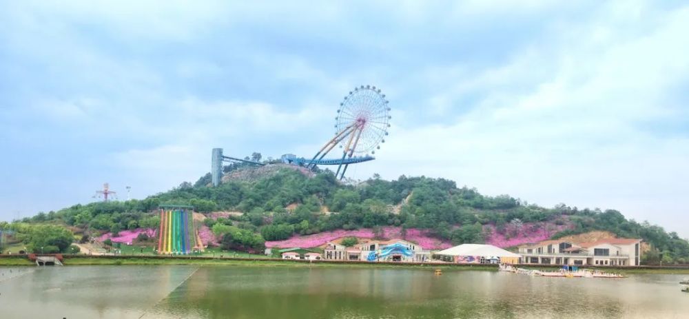 即日起,新港国际大草原恢复开园!