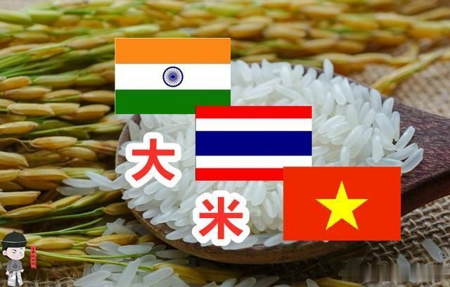 为什么说印度会超越中国_印度最新大米禁令会影响中国吗_新疆棉花禁令影响