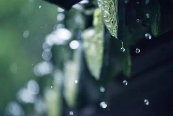 天街小雨润如酥