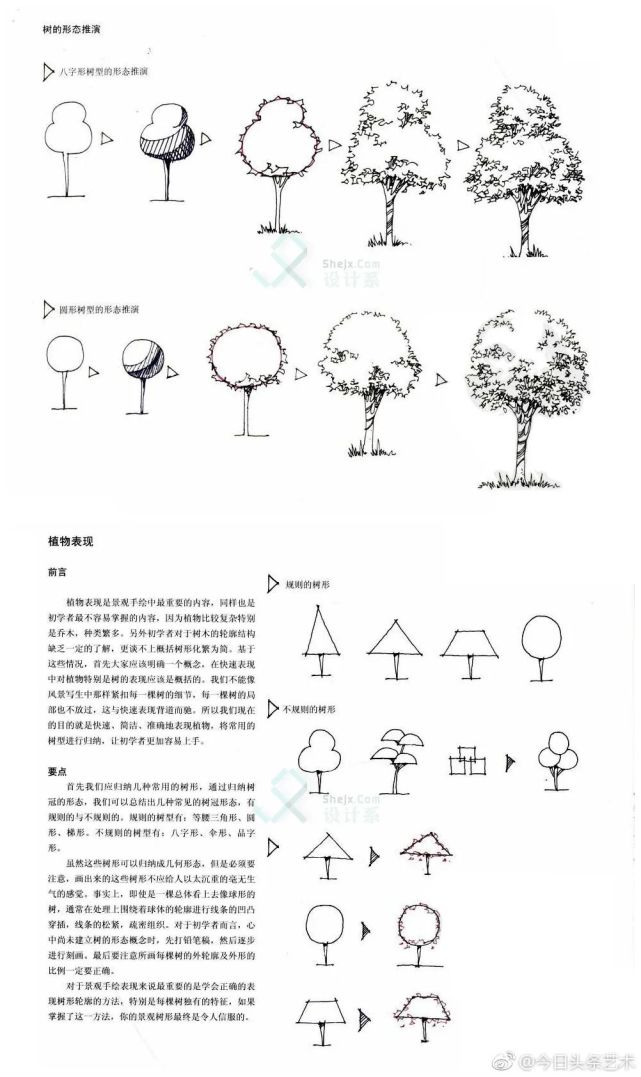 最全的植物速写风景手绘单体组合体配景线稿大合集