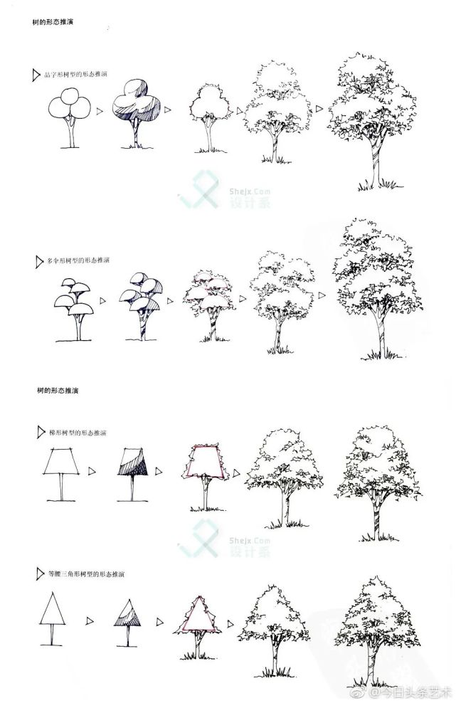 最全的植物速写风景手绘单体组合体配景线稿大合集