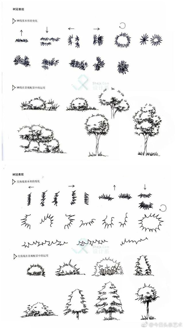 最全的植物速写风景手绘单体组合体配景线稿大合集