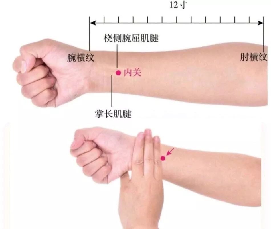 拇指屈曲垂直按在合谷穴上,做一紧一松地按压,频率约为每2秒1次,即每