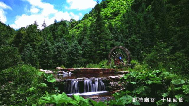 4月3日,六盘山国家森林公园将正式开园!|景区|小南川
