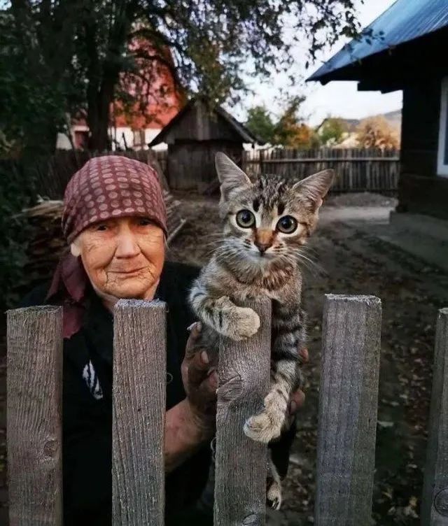 谢谢观看~天天趣图祝您开心快乐每一天!