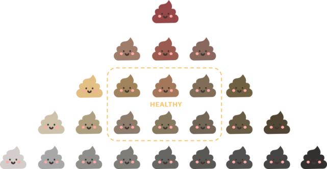 金黄色 / 棕黄色的便便最正 频繁出现这些便便,就该去医院啦