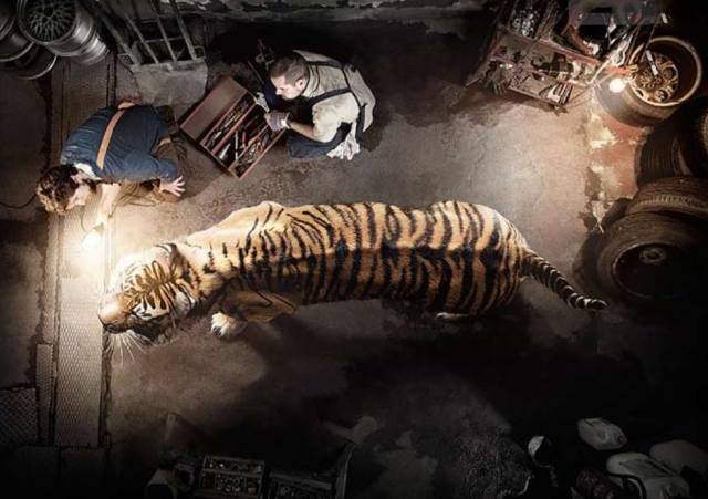 心中困兽 腾讯网