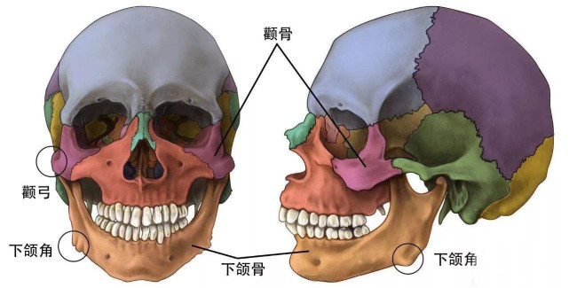 《鬓边》尹正脸上肉多发福,面部轮廓怎么做才能变清晰?