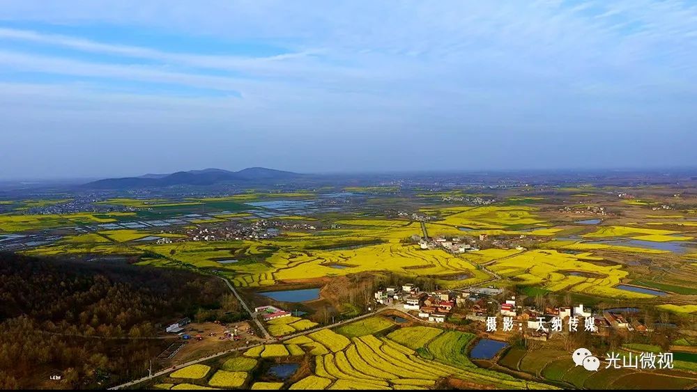 仙居乡农业公园:约你再看油菜花