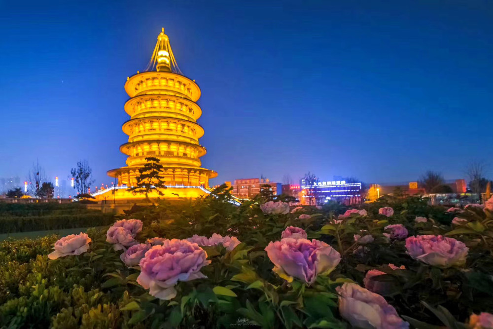 第38届中国洛阳牡丹文化节4月5日开启五项特别活动邀您来