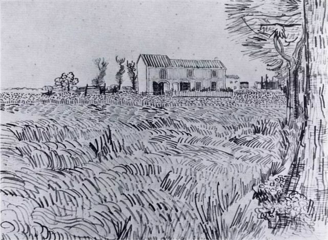 梵高麦田系列素描画作品