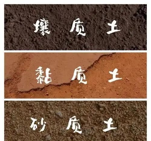 有些地方群众所称的"四砂六泥"或"三砂七泥"土壤就相当于壤质土.