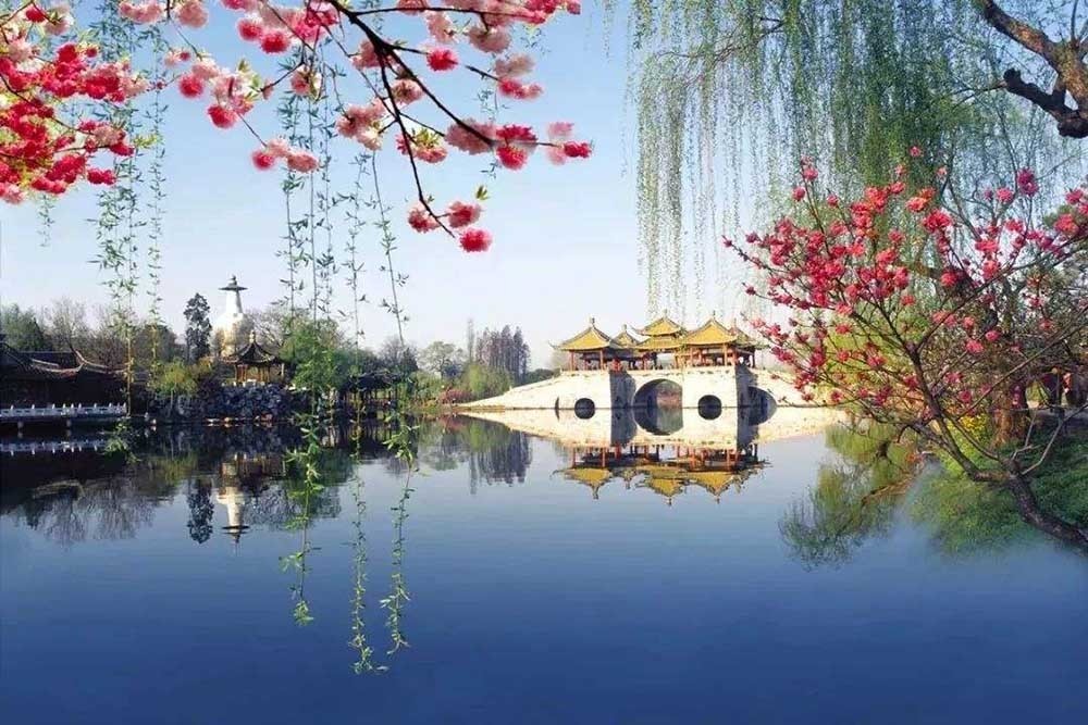 最近,扬州,泰州成了最火的赏花出游地,这里的瘦西湖美景,兴化花海成了