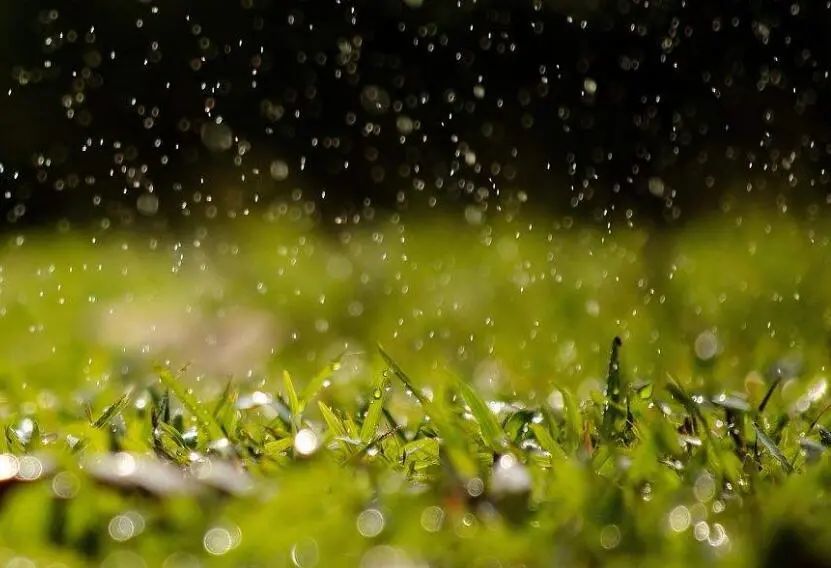 草树知春.听窗外风雨,看刘福连将军《回望母亲》