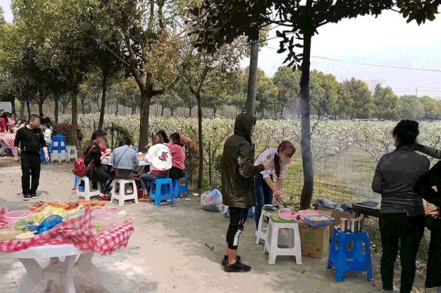 【海宁烧野饭大全】我们一起春游去吧!