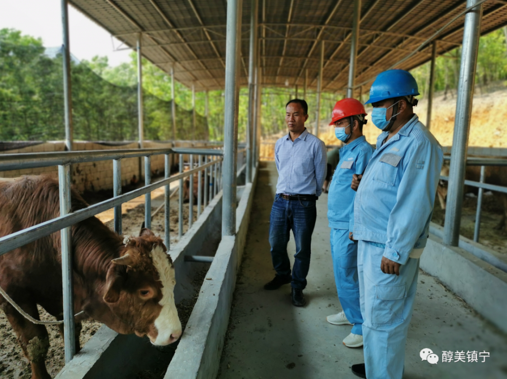 六马供电所工作人员主动前往养殖基地,询问了解用电情况,检查线路