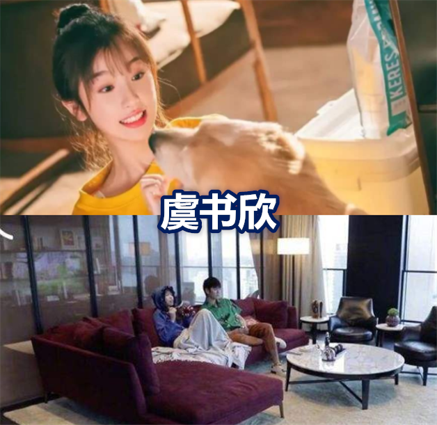 马伯骞的家,华晨宇的家,虞书欣的家,看到吴亦凡:缺保洁工吗?