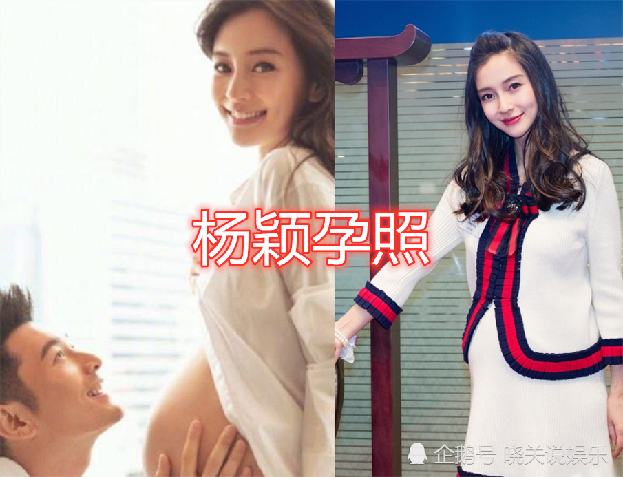 杨颖的孕照张子萱的孕照孙俪的孕照看到霍思燕过于真实