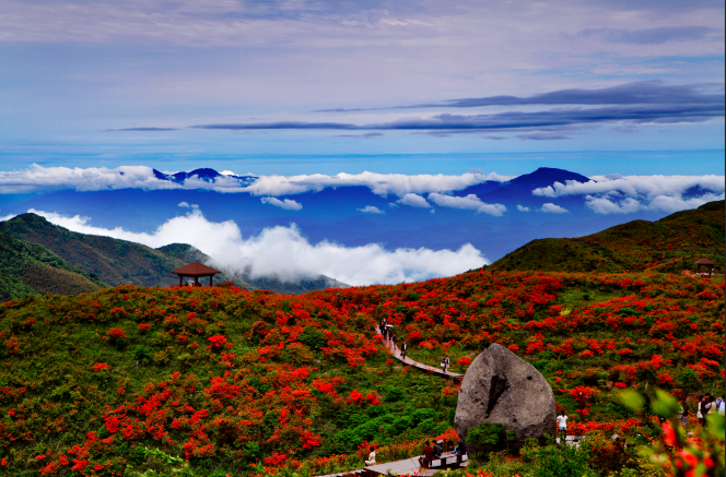 来浏阳必去的大围山森林公园,奇峰异石,飞瀑流泉.