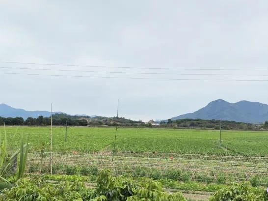 亚山镇各村人口_揭阳揭西大溪各村人口(3)