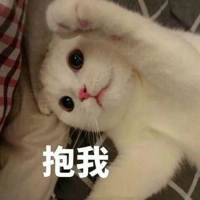 你想要的撒娇表情包,都在这里啦