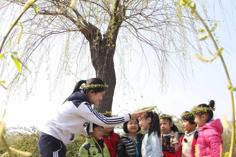 清明节除了祭祀,为何还有戴柳,插柳的民俗?究竟有何寓意