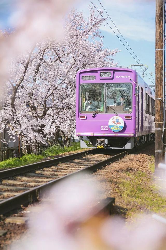居庸关列车 你有没有羡慕过日本的樱花火车?