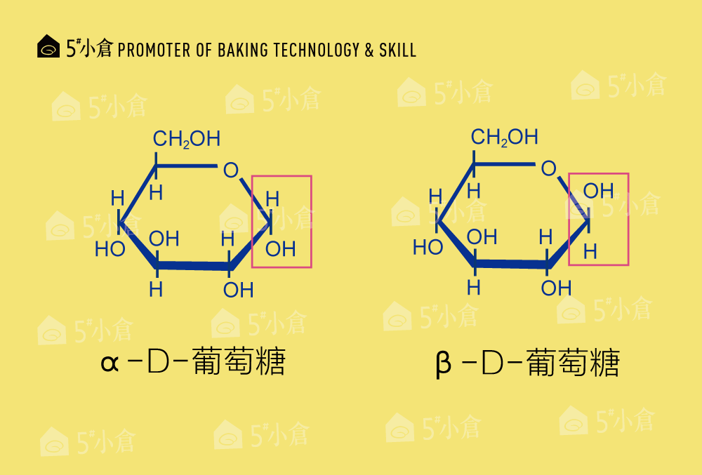 α-1,4-糖苷键和α-1,6-糖苷键4 支链淀粉分叉成树枝形,每条链由