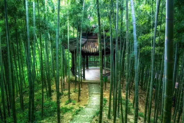 见最美人间四月天,这份春日限定美景已为你备好!