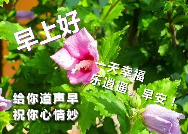 4月4日清明节早上好最棒问候表情祝福语录 清晨最美祝福美图