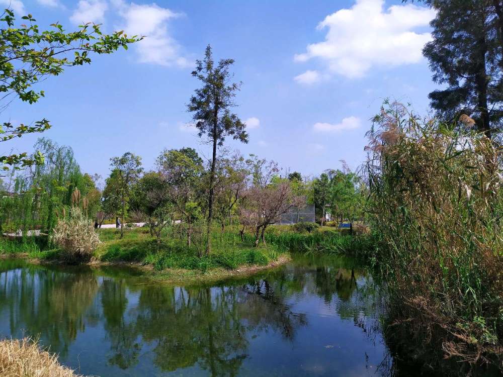 春光里的成都,亚洲最大的人工城市湿地公园群!