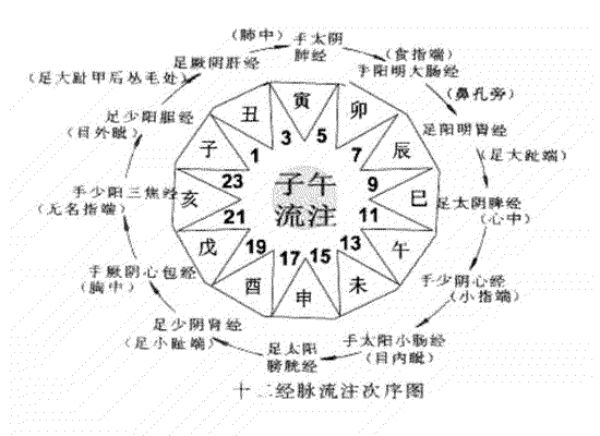 首页 经络穴位 中医常识 十二经络循行 5,目外眦为手足少阳与手太阳