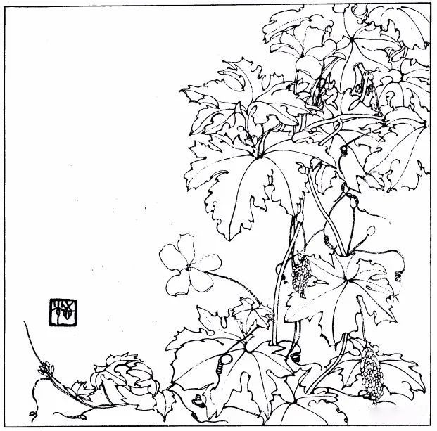 书画联盟丨白描百花,笔法干净利落