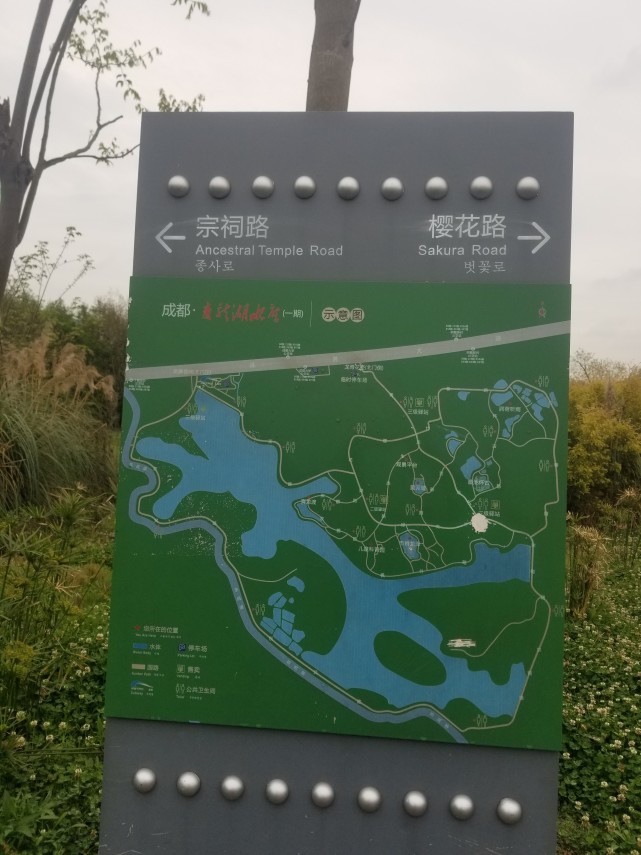 成都青龙湖湿地公园