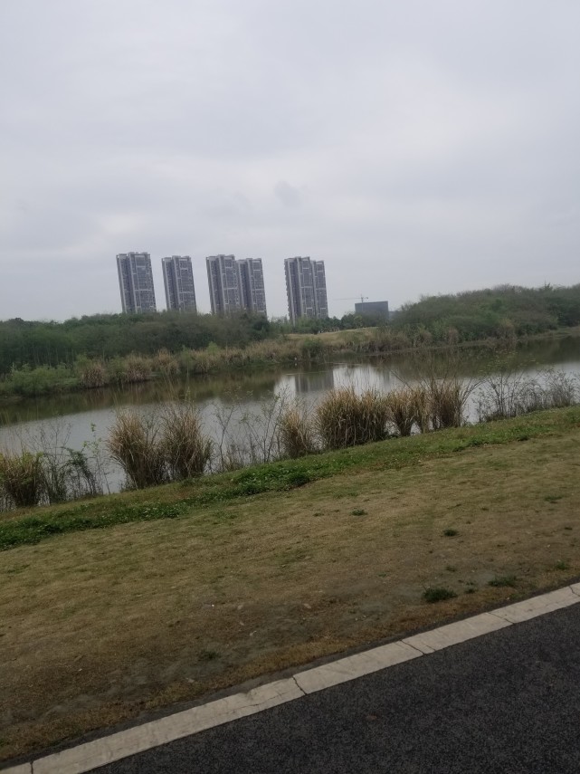 成都青龙湖湿地公园
