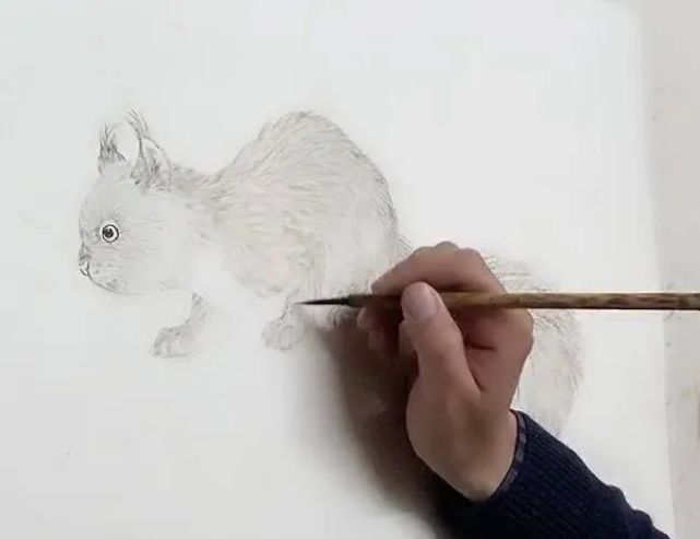 画家鲍古风公益直播:工笔松鼠丝毛技法