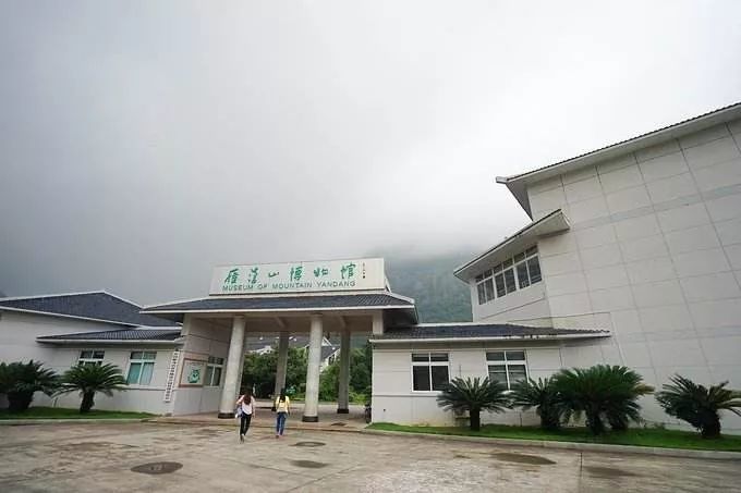雁荡山博物馆