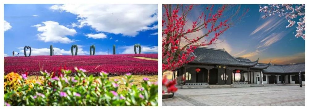 分别是: 灌云县伊甸园景区,伊芦山梅园景区.