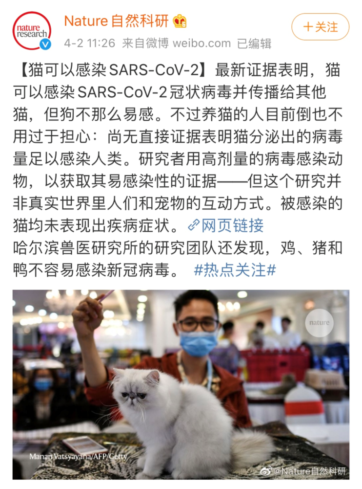 研讨团队亲身驳斥谣言147的猫感染新冠病毒是误导